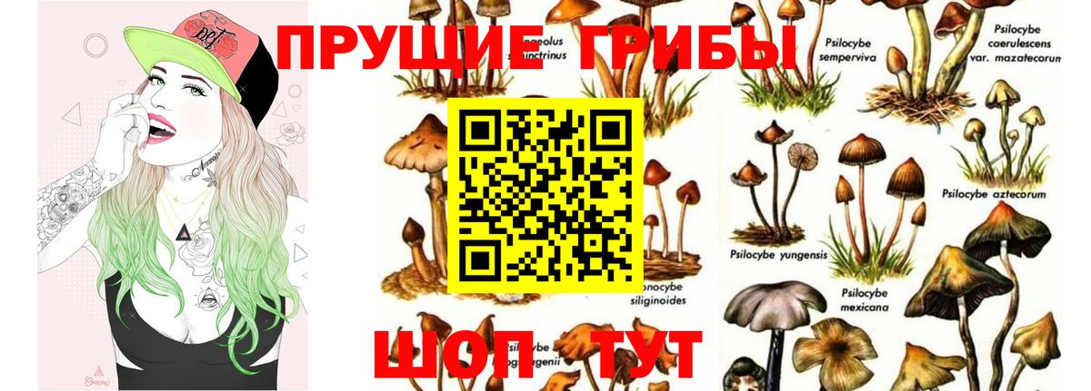 Псилоцибиновые грибы ЛСД  Вход с VPN  Сегежа 